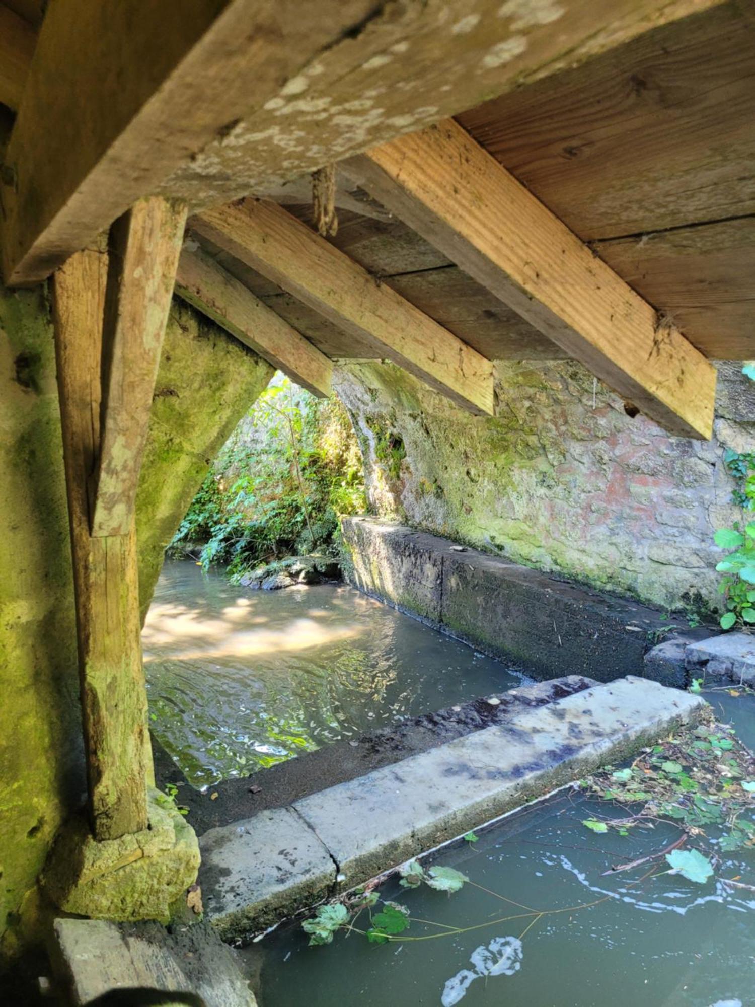 La Maison Aux Iris Pocé-sur-Cisse Exterior foto